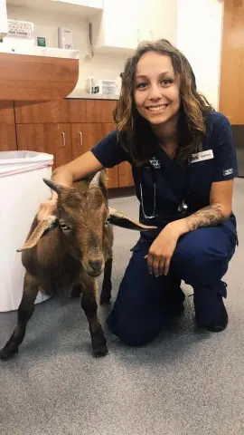 Relief vet tech - sabrina sanchez with goat