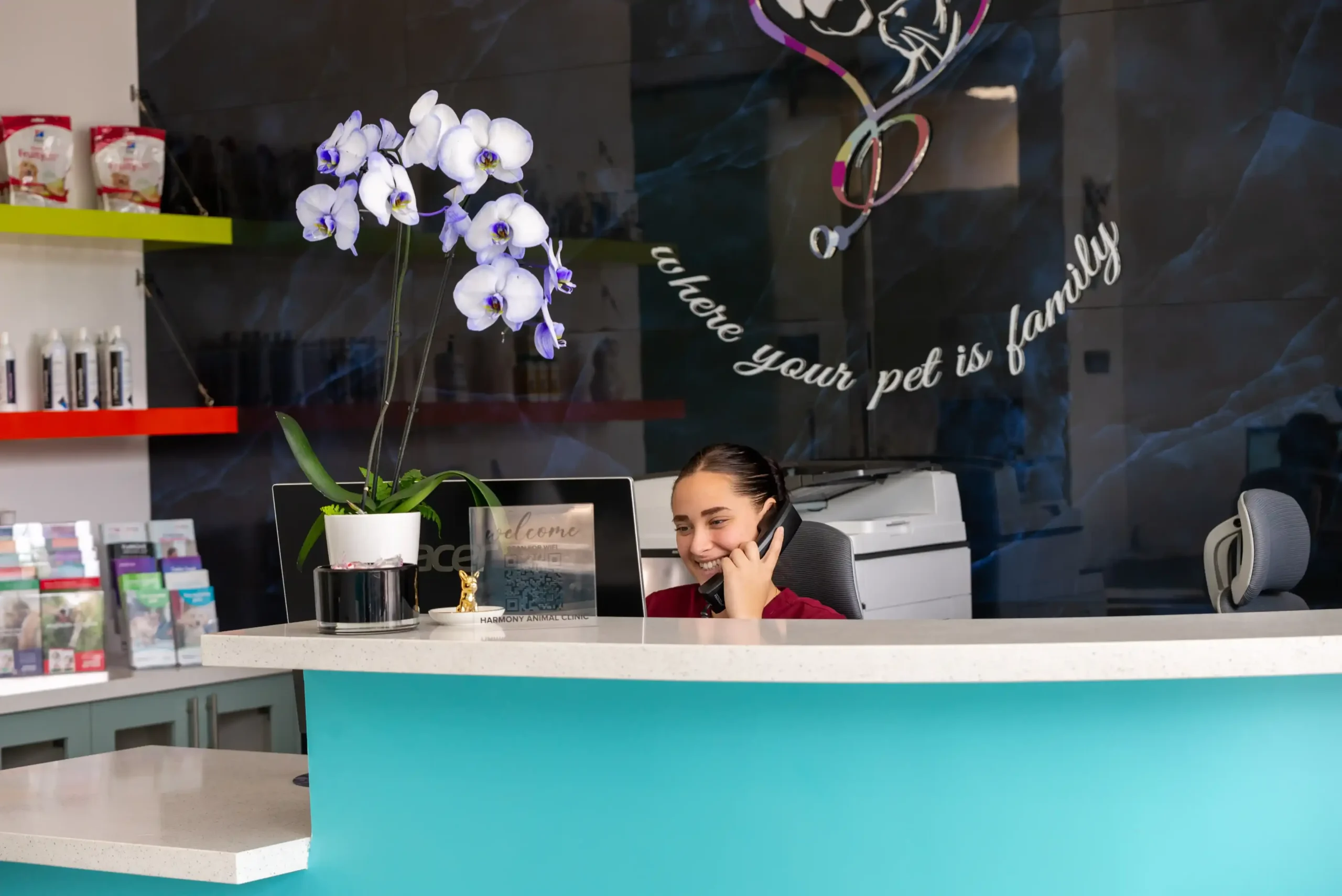 Welcoming veterinary clinic reception area