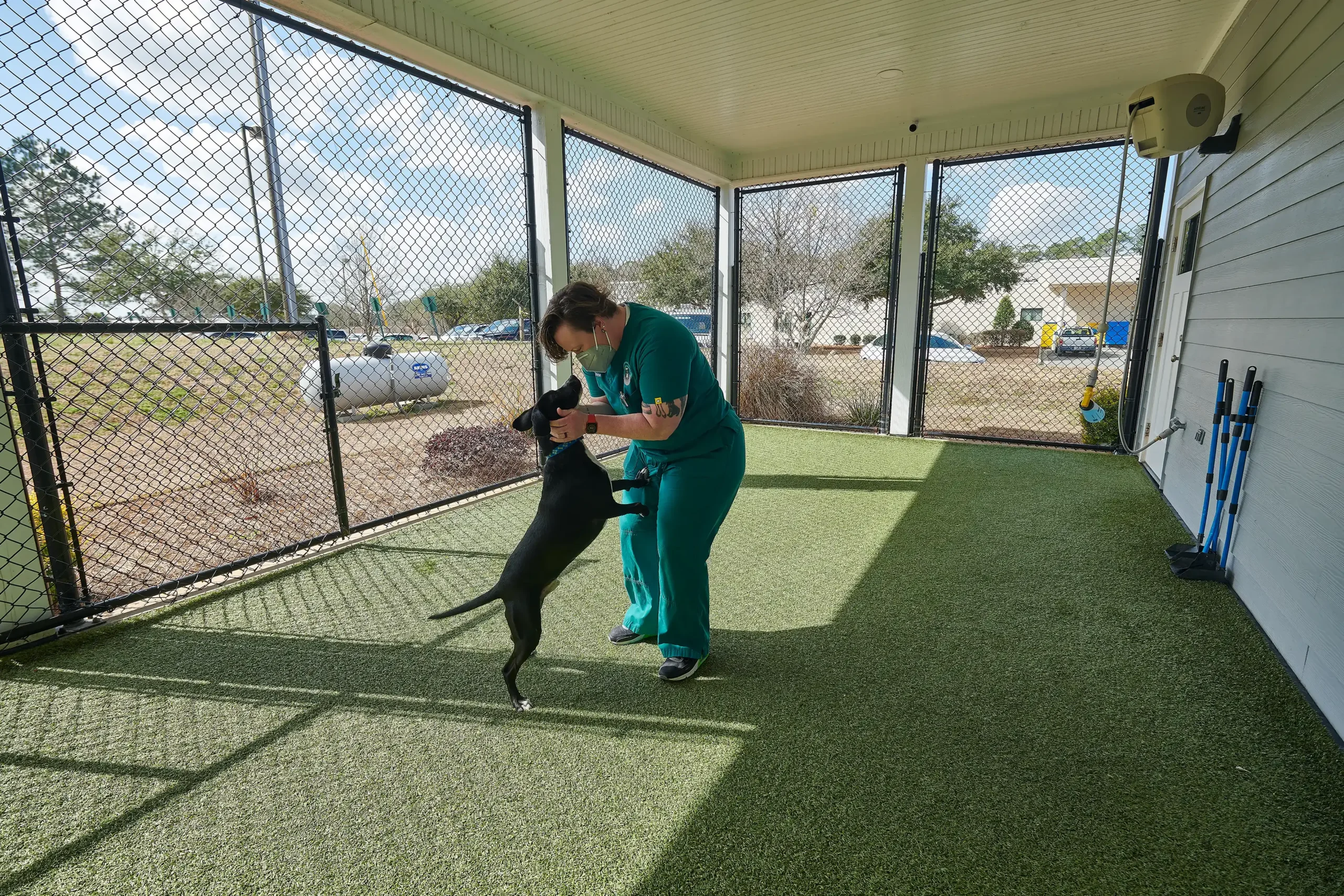 Veterinarian and technician examining a shelter dog in a shelter clinic